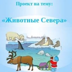 Cadrele didactice în continuă formare