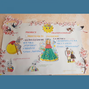 Proiect – Întâlnirea on-line