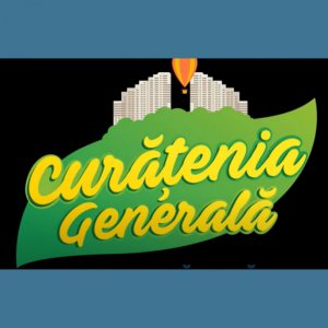 Procesul de organizare și desfășurare a lucrărilor de salubrizare și amenajare a teritoriului în IET nr.6 sectorul Centru