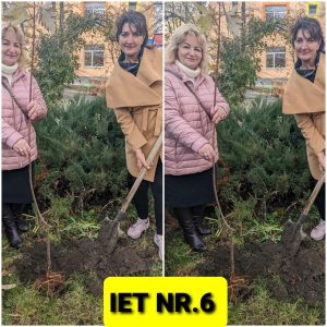 Acțiunile de plantare a arborilor în IET nr. 6